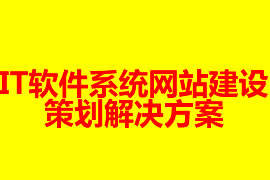 IT軟件網(wǎng)站建設(shè)